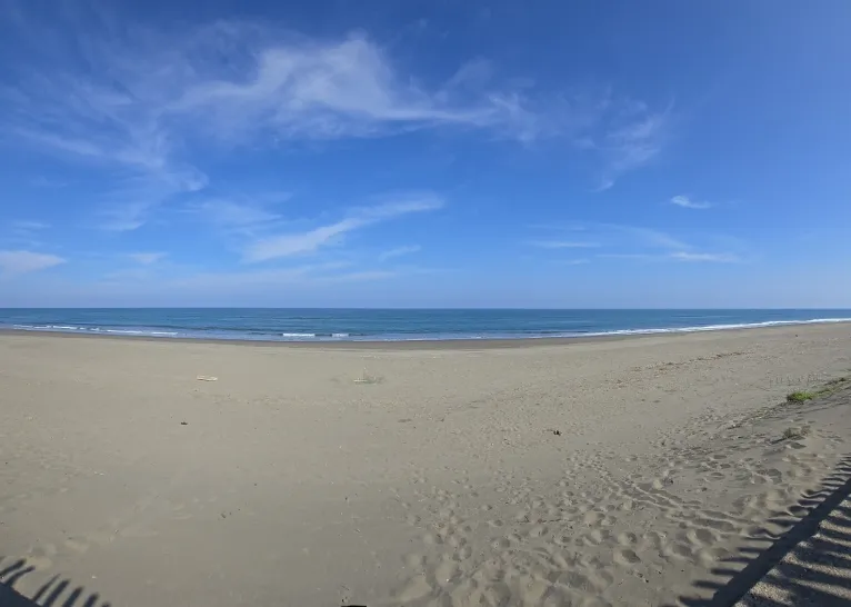 富田浜公園