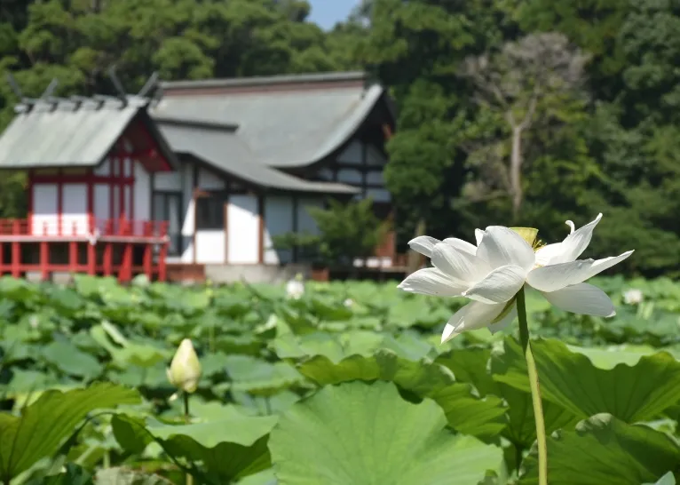 湖水ヶ池